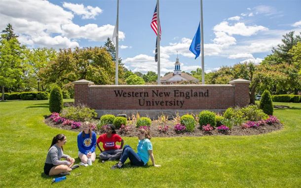 WNE University Case Study